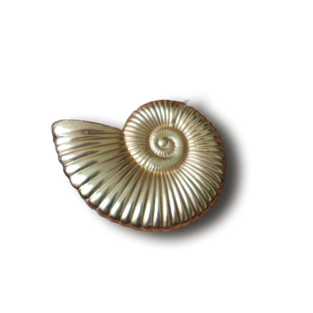 Gold Vermeil shell necklace - djoyr