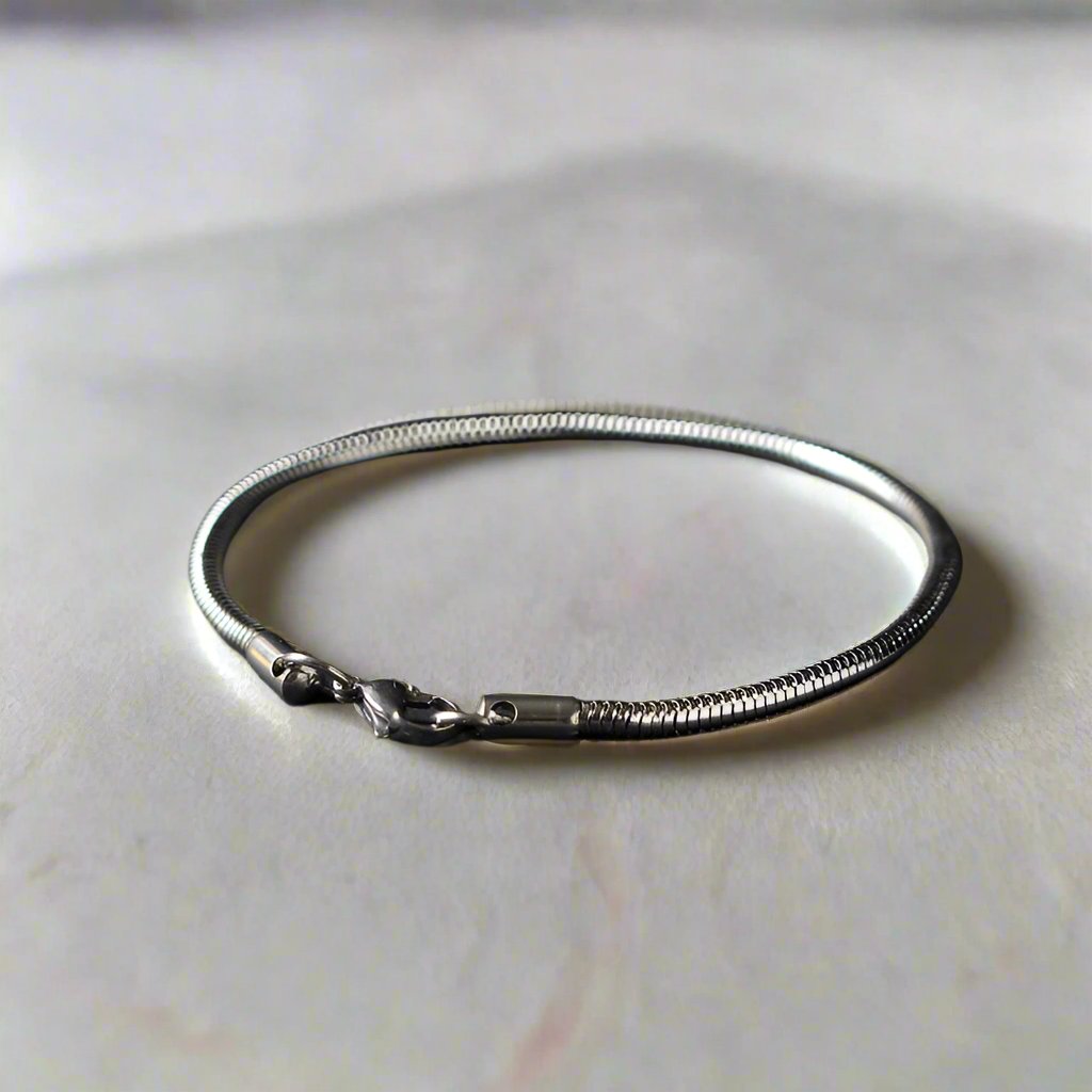 Snake Chain Bracelet - djoyr